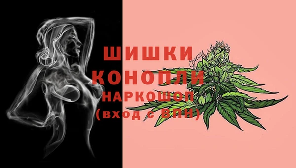 стаф Баксан