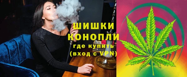 стаф Баксан
