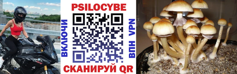 Галлюциногенные грибы Magic Shrooms  hydra зеркало  Буинск 